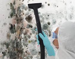 Best Asbestos and Lead Testing During Mold Inspection  in USA